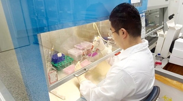 수젠텍 연구원이 충북 오송 연구소에서 항체진단키트 실험을 하고 있다.  /수젠텍 제공 