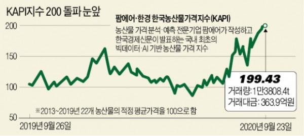 제수용 과일값 천정부지…사과 148%, 포도 34%↑