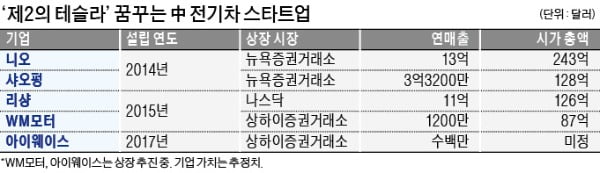 "테슬라 잡아라"…中 전기차 스타트업 大戰