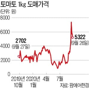 햄버거·타코 '토마토 실종' 언제 끝날까