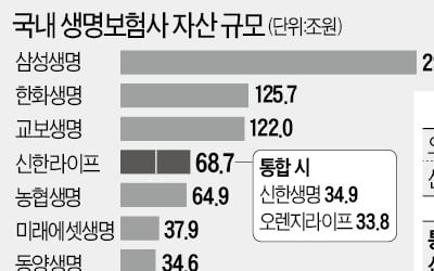 오렌지와 합친 신한생명 '신한라이프'로 새출발