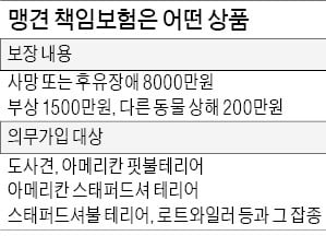 도사견·핏불테리어 등 맹견 키우면 내년부터 책임보험 의무 가입해야