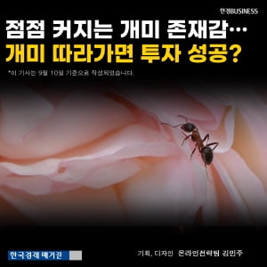 [카드뉴스] 점점 커져가는 개미 존재감, 개미 따라가면 투자 성공?