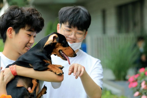 [여기 어때] 우리도 외국처럼…반려견 '핫 플레이스' 소노펫