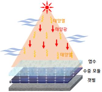 "전기와 소금 동시 생산"…한전, 염전 태양광 발전 기술 개발