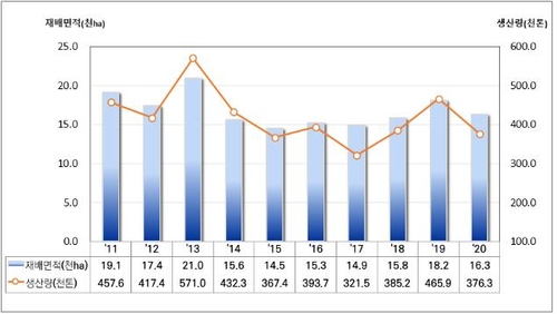 올해 봄감자 37만6천t 생산…작년보다 19%↓