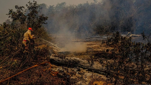 세계적 열대늪지 브라질 판타나우 화재·가뭄 대재앙
