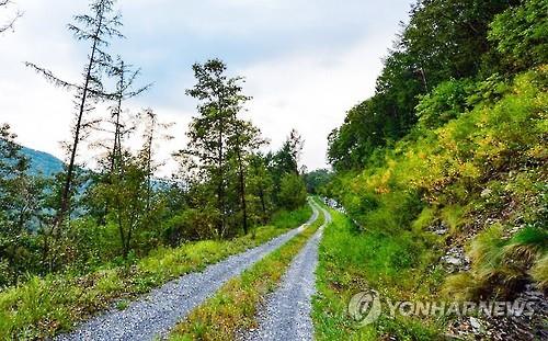 강릉국유림 추석 연휴 임도 출입 통제…코로나19 확산 우려