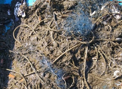"그물 올리면 시커먼 진흙만"…새만금 어민들 매립공사 피해호소