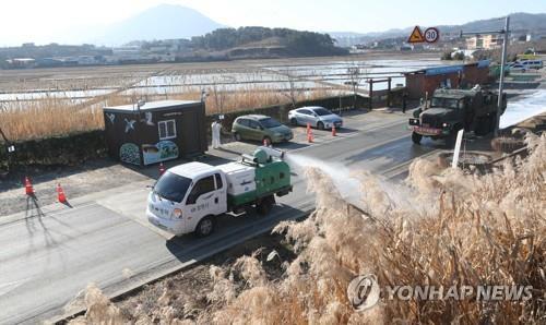 고병원성 AI 방역 비상…대구시 한 달 앞당겨 대책 마련