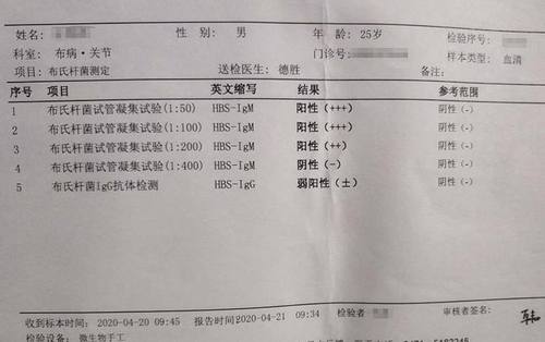 중국 브루셀라병 집단감염 환자들 피해 호소…"후유증 우려"