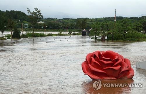 자연의 반격으로 존폐 갈림길 선 삼척 장미공원