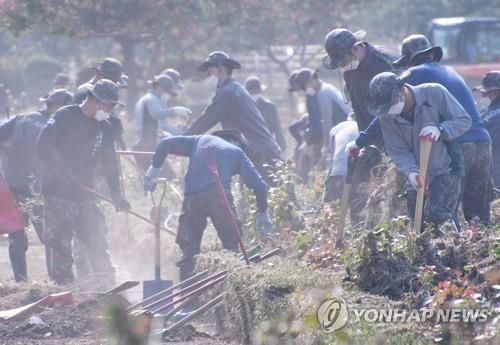 자연의 반격으로 존폐 갈림길 선 삼척 장미공원