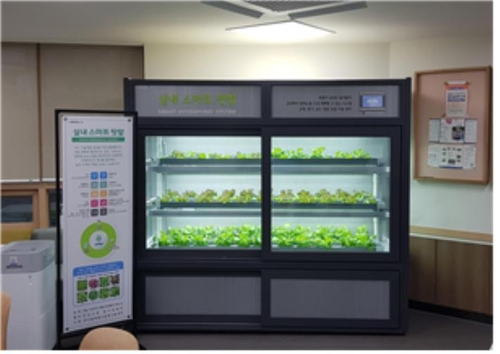 서울시, 주민센터 등에 IoT 식물 재배기 보급