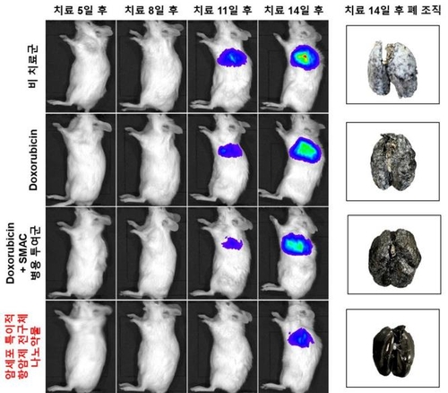 [사이테크 플러스] 항암제 내성·화학요법 부작용 최소화 나노입자 신약물질 개발