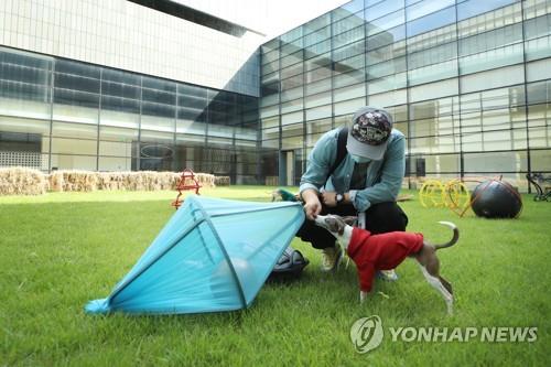 '개 위한 전시' 열린다…견공에 문 연 국립현대미술관(종합)