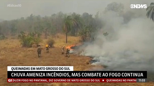 브라질, 아마존 이어 판타나우 열대늪지 보호 위해 군 동원할듯
