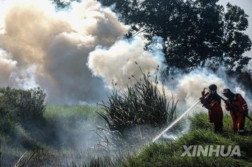 인도네시아 올해 산불 피해 급감…'수해' 조짐 심상치 않아