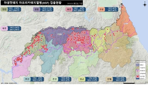 아프리카돼지열병 3건 강원도서 추가 발생…총 741건