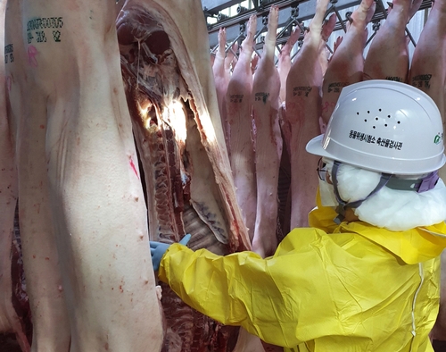 홍콩서 인기 끄는 충북산 돼지고기…이달 수출량 59.4t