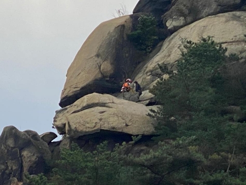 가출 8일만에 산 위 절벽서 구조된 20대…"살아줘서 감사"