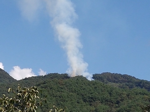 전남 곡성군 야산 정상 산불 진화…600㎡ 소실(종합)