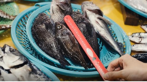 "어린 물고기, 사지도 먹지도 마세요"…윤리적 소비 확산 캠페인