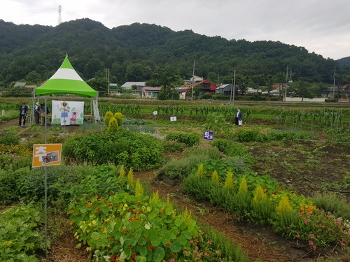 '1평의 기쁨'…전주시 도심에 텃밭·체험농장 조성