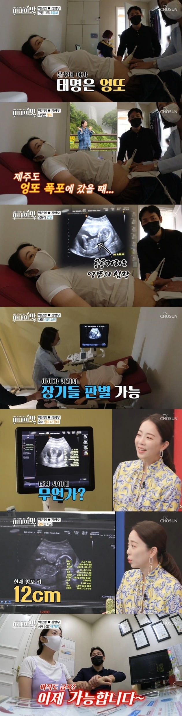 박은영 아나운서가 임신 소식을 알렸다. / 사진=TV조선 '아내의 맛' 캡처