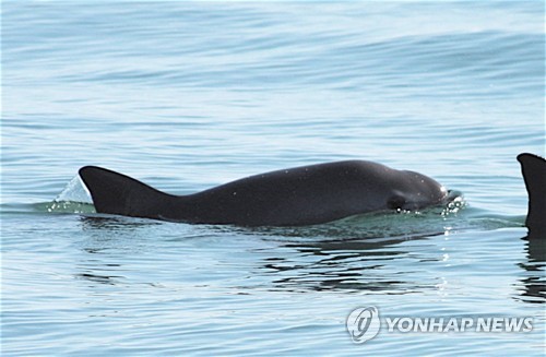 인간 탓 척추동물 수난시대…50년간 개체수 68% 격감(종합)