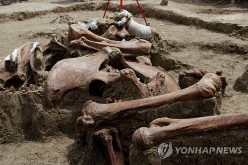 파고 또 파도 계속…멕시코 공사현장 매머드 200마리 뼈 발굴
