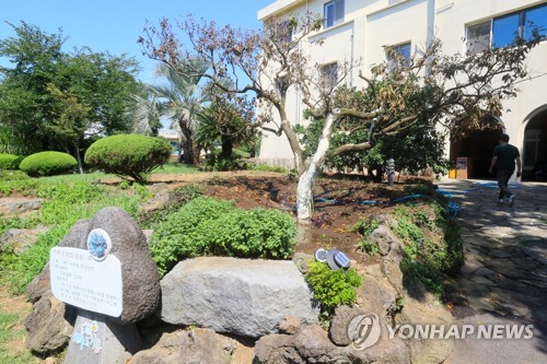 [줌in제주] ①"알고 먹으면 더 맛있다" 제주 감귤 히스토리