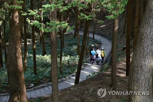 시범 개방 1년 거제 저도…대통령 섬에서 모두의 섬으로 '점프'