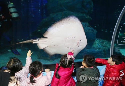 해운대 아쿠아리움 10년 재연장 협상 11월 시작