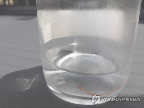 정수장·수돗물 '식품' 취급…부산시 유충 방지 대책