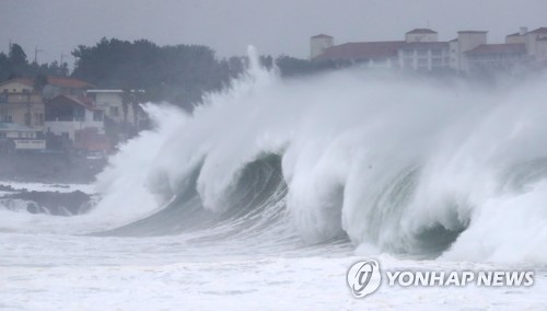 태풍' 마이삭'에 전북 300㎜ 폭우…가로수 쓰러짐·정전 등 피해(종합)