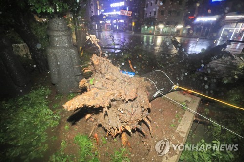 태풍 하이선 북상에 제주 하늘길·바닷길 모두 끊겨