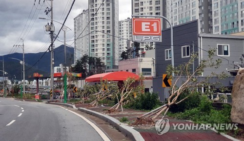 태풍 '마이삭' 관통한 경남…인명피해 없지만 곳곳 상처