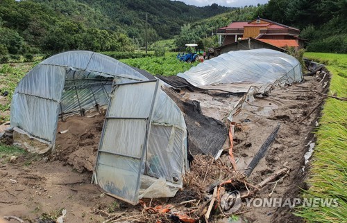 태풍 '마이삭' 이재민 255명으로 늘어…농경지 1만2천892㏊ 피해
