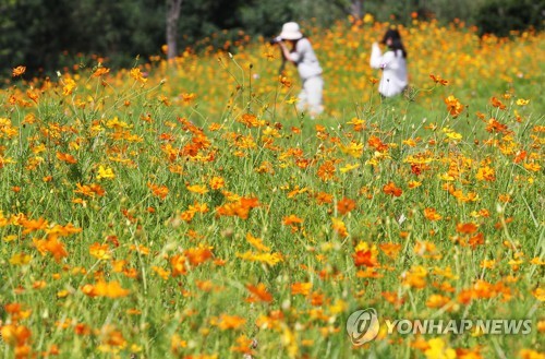 태풍 '하이선' 접근하며 전국 차차 흐려져…남부지방 비