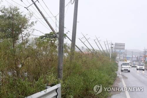 태풍이 할퀴고 간 포항…전신주 부서지고 가로수 뽑혀