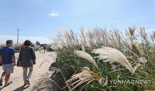 [날씨] 가을 기운 완연한 토요일…중부지방 한때 빗방울