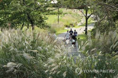 추석 앞둔 주말 공원·바다 북적…전통시장도 '활기'