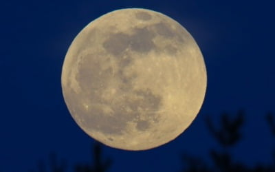 '구름 낀' 추석연휴…구름 사이로 보름달 보인다