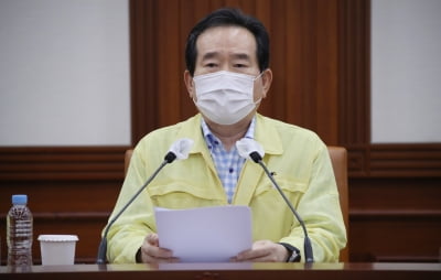 정총리 "추석 이동 최대한 자제해주길…온라인 성묘"