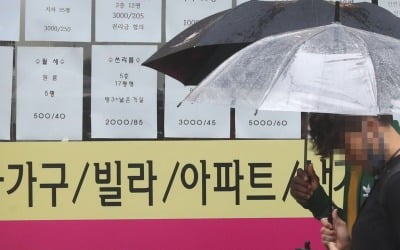 서울 집값, 신고가 속출하는데…정부 통계는 여전히 보합권