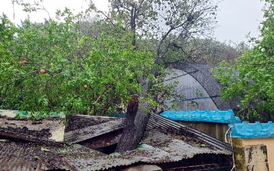태풍 '하이선'에 실종 1명·부상 5명…이재민은 총 124명 [종합]