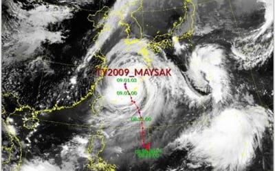 '마이삭' 모레 새벽 부산 인근 상륙…'매미'와 이동경로 비슷