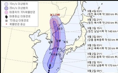 초속 47m '마이삭' 서귀포 해상서 북상…제주바다 태풍특보