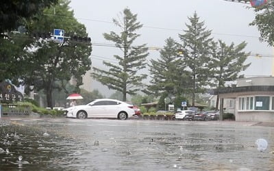 서울 전역에 호우주의보 발령…제9호 태풍 '마이삭' 영향권